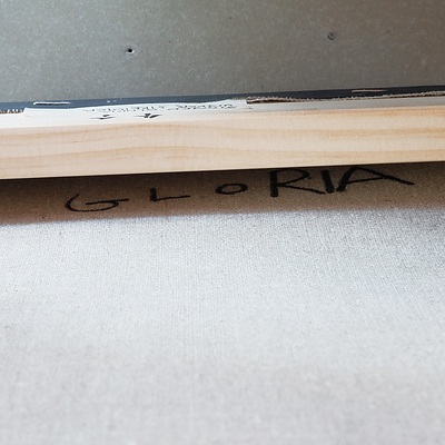 Gloria Tamerre Petyarre (c.1938-) Bush Medicine Leaves 2016, Acrylic on Canvas