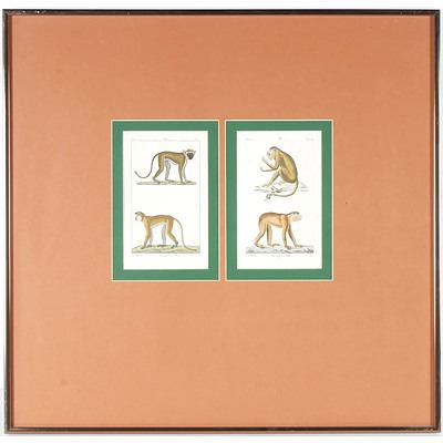 David Sculp Pretre Pinx Prints 4