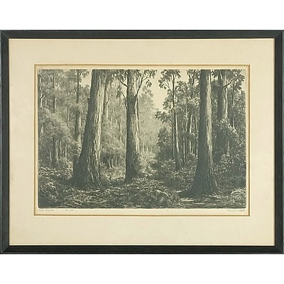 Ernest Abbott (1888-1973) Big Timber Limited Edition Drypoint Engraving