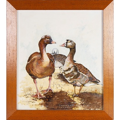 Peter A.P. Mortimore, Geese 1991, Oil on Board
