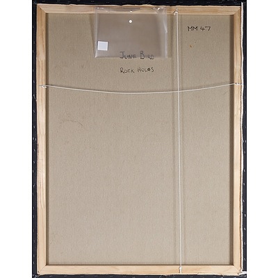 June Bird Ngale (Working c1988-) Rockholes Oil on Canvas