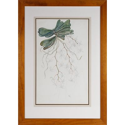 Botanical Watercolour Initialed GH