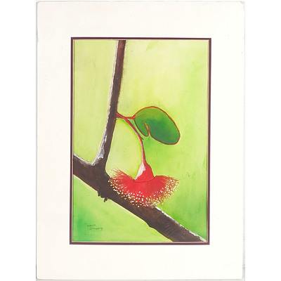 Marida Sonnenberg Flowering Gum Watercolour