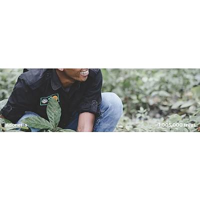 $100 (USD) voucher at tentree.com