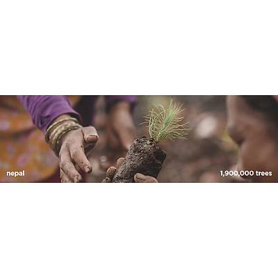 $100 (USD) voucher at tentree.com