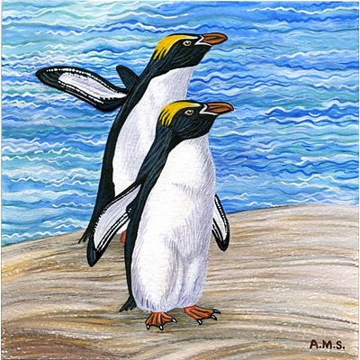 Set of 3 limited edition penguin prints by Annette Schneider