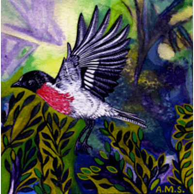 Set of 3 portrait format Australian bird prints