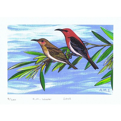 Set of 3 Landscape format Australian bird prints