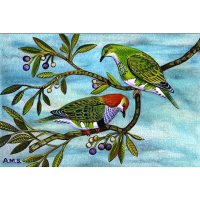 Set of 3 Landscape format Australian bird prints