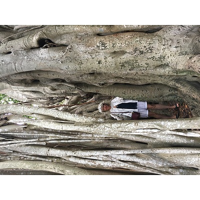 Painting: Australian landscape by Michele England