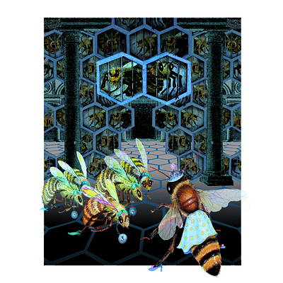 A bundle of 3 sumptuously illustrated, socially and environmentally aware children's books from Canberra's own IrrePRESSible Press