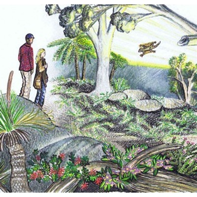 A bundle of 3 sumptuously illustrated, socially and environmentally aware children's books from Canberra's own IrrePRESSible Press