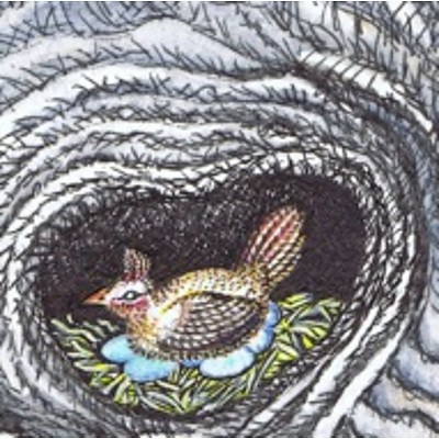 A bundle of 3 sumptuously illustrated, socially and environmentally aware children's books from Canberra's own IrrePRESSible Press