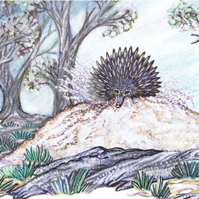 A bundle of 3 sumptuously illustrated, socially and environmentally aware children's books from Canberra's own IrrePRESSible Press