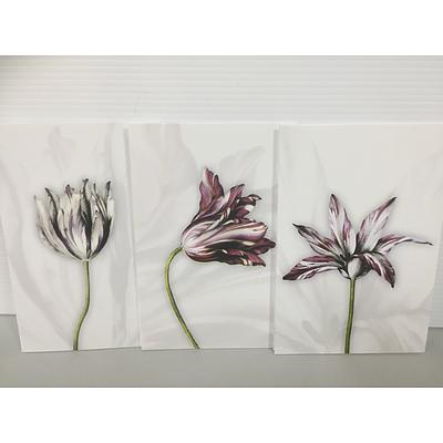 12 Tulip greeting cards with envelopes from the National Library of Australia
