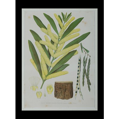 4 Early Australian Prints