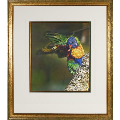 Bernie Coppinger (1959-2009) Ignition of Flight, Watercolour and Gouache