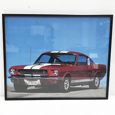 Framed 1966 Ford Mustang Shelby GT 350 Photograph