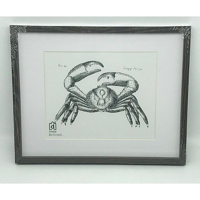 Lot of Brand New DFrame 8x10Inch Picture Frames - Espresso x12