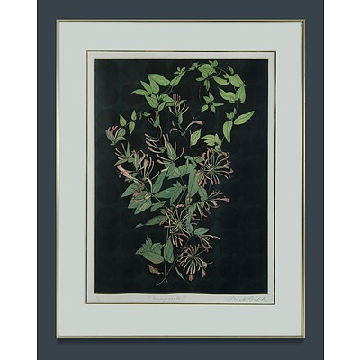 GRIFFITH Pamela (b.1943) 'Honeysuckle'
