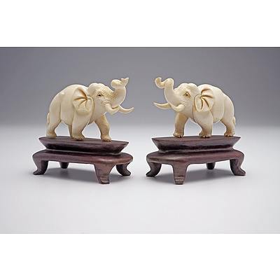 Pair of Chinese Ivory Elephants on Carved Hardwood Stands, Mid 20th Century