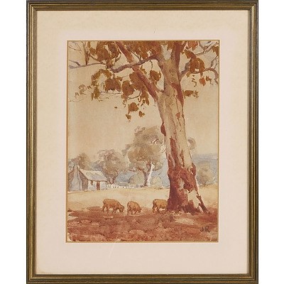  'Old Gum Tree, Sheep and Cottage' - JR, Watercolour