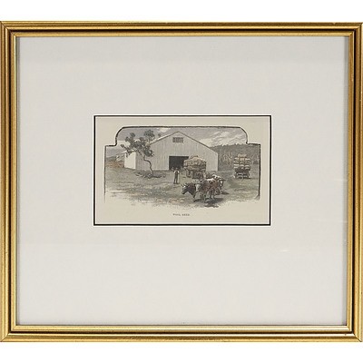  'Woolshed', Engraving Showing Bullock Wagon Taking Wool Bales From Wool Shed