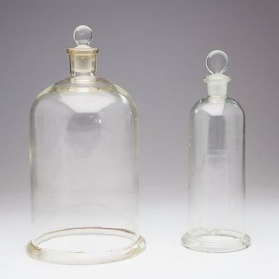 Pair of Glass Bell Jars with Glass Stoppers