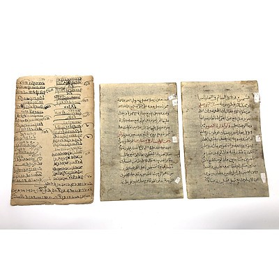 LATE ADDITION Three Indo-Persian Miniature Paintings of Birds with Calligraphy Verso