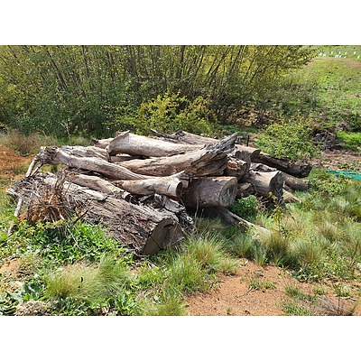 Lot 276 - Approx 12 Tonnes of Logs (Ideal Firewood)