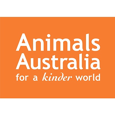 3 Pocket Wombats - Walk Together   by Luna Ryan