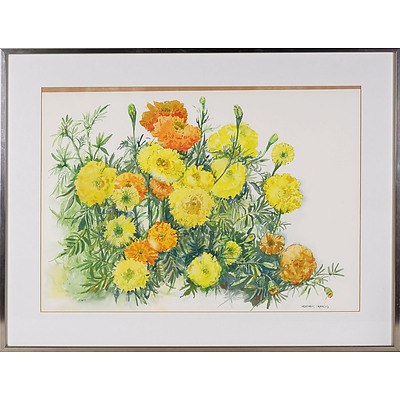 Heather Francis (New Zealand, Australia 1925-) Flowers In The Yard, Watercolour