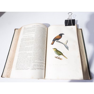 Volumes One and Two Complements de Buffon, P. Lesson, Garnier freres, Paris, 1848