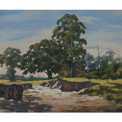 HAMILTON Donald (Born 1932), 'Creek Washout', 1975 