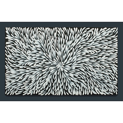 NUMINA Louise (Born 1976), 'Bush Medicine Leaves', Circa 2009