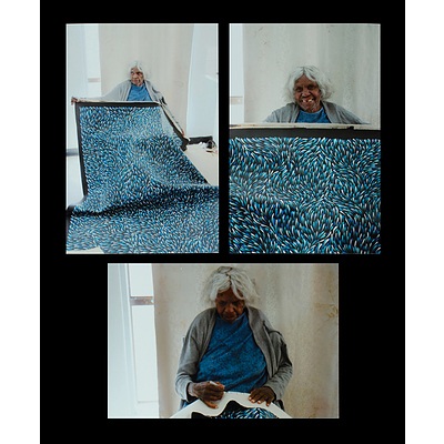 PETYARRE Gloria (Born c.1938), Bush Medicine Leaves