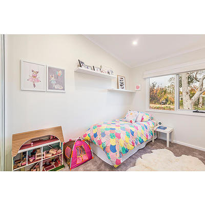 19 Dalrymple Street, Narrabundah ACT 2604