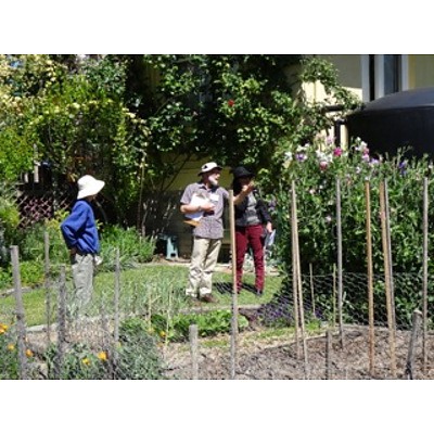Lyneham Organic Garden Tour and Seasonal Food Hamper