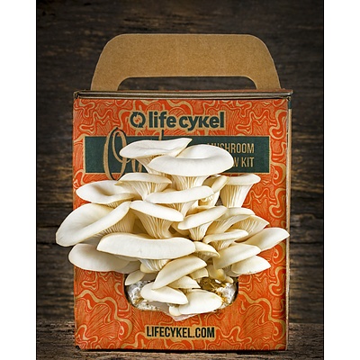 Life Cykel Oyster Mushroom Grow Kit