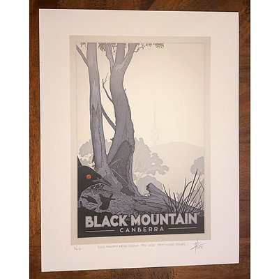 Print: "Black Mountain Nature Reserve, 1970-2020: White-winged choughs" by David Pope.