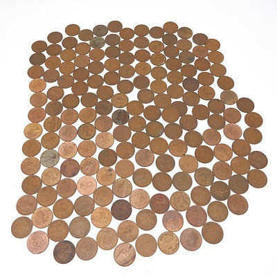 Group of Australian Half Pennies
