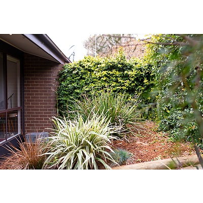 103 Hallen Close, Swinger Hill ACT 2606