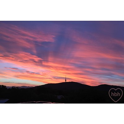 402/165 Northbourne Avenue, Turner ACT 2612