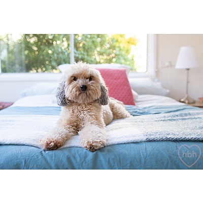 12 Donaldson Street, Braddon ACT 2612