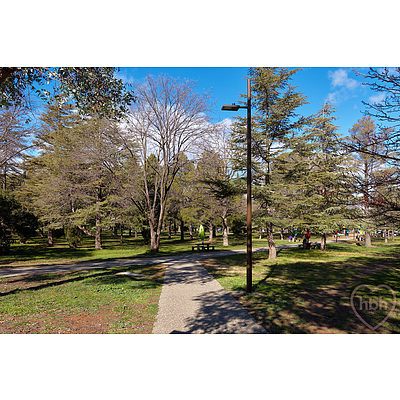 41/19 Ijong Street, Braddon ACT 2612