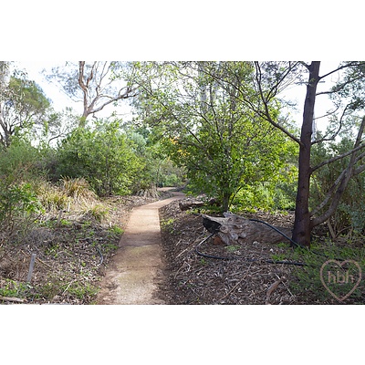 33 Godfrey Street, Campbell ACT 2612