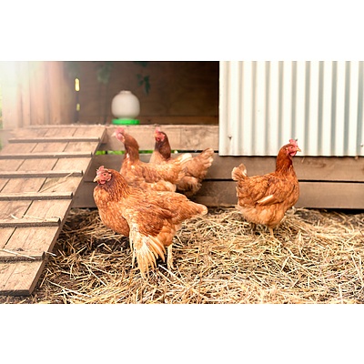 30 Gellibrand Street, Campbell ACT 2612