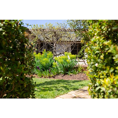 16 Dianella Street, O'connor ACT 2602
