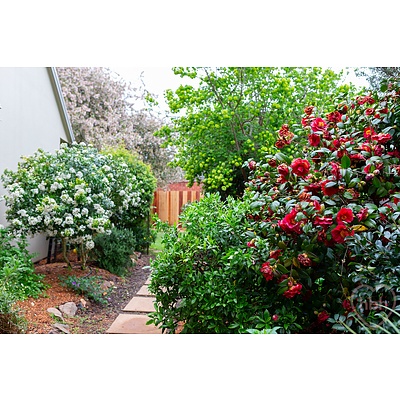 32 Bradfield Place, Downer ACT 2602