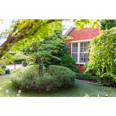 15 Farrer Street, Braddon ACT 2612